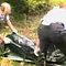 Medical Detectives - Geheimnisse der Gerichtsmedizin Thumbnail