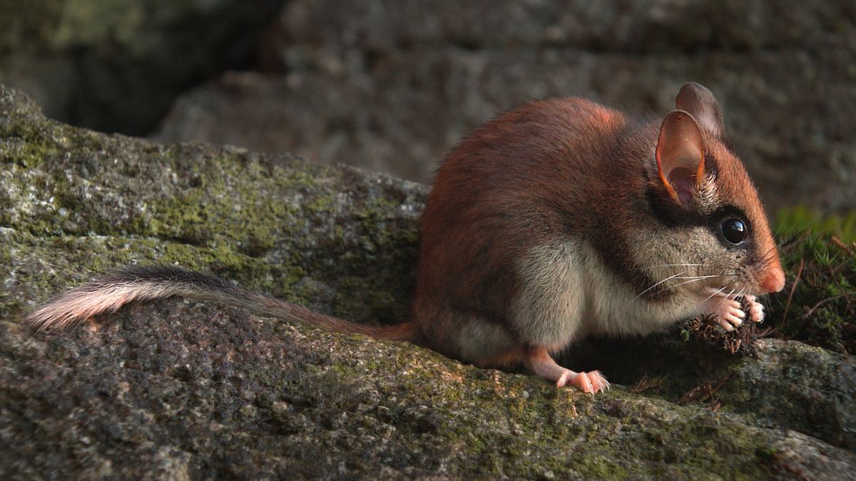 abenteuer wildnis