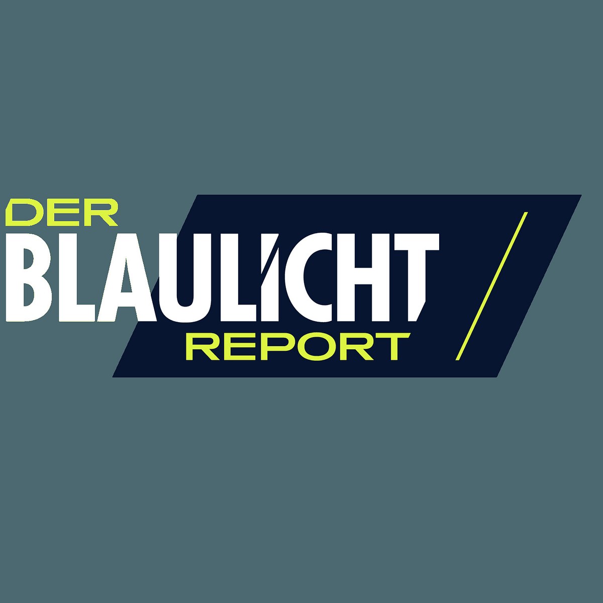Der Blaulicht-Report der blaulicht-report
