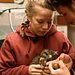Elefant, Tiger & Kids Thumbnail
