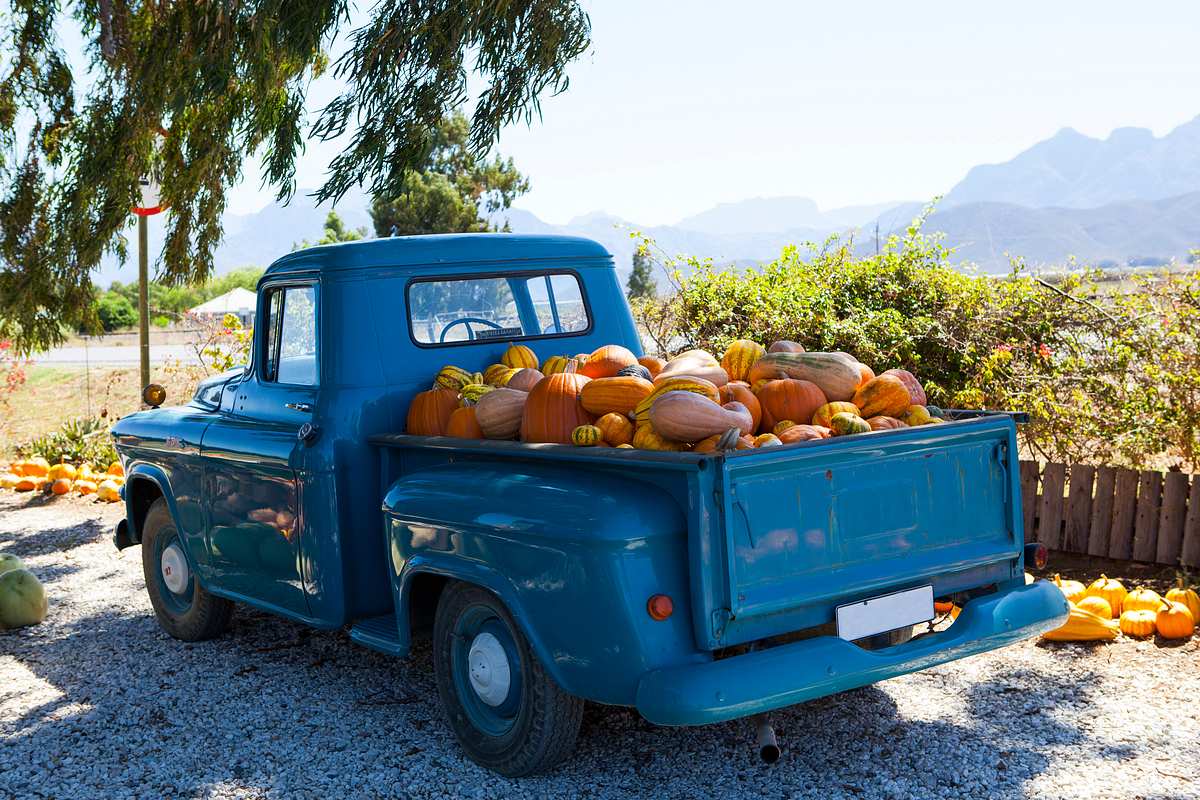 Sin City Tow - Die Abschlepper von Las Vegas sin city tow - die abschlepper von las vegas