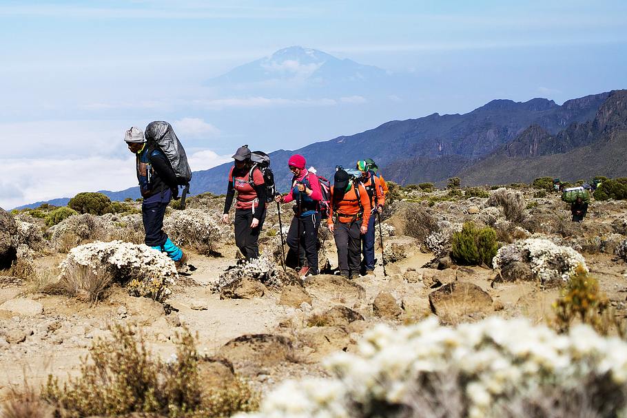 abenteuer kilimandscharo - auf expedition in tansania