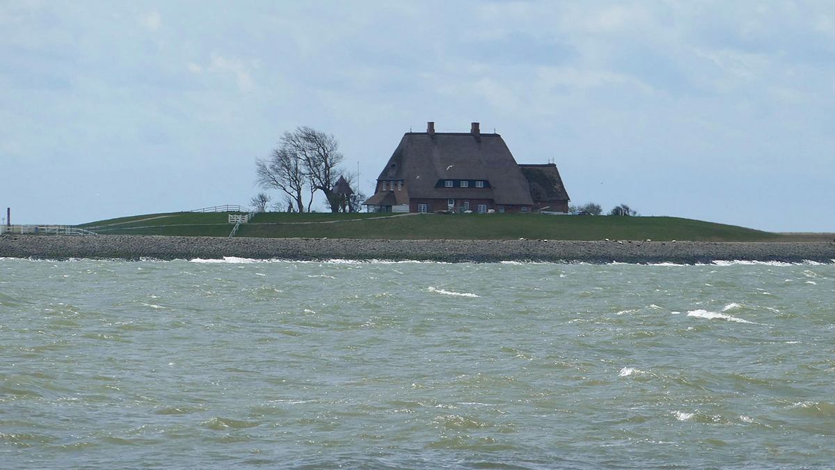 die halligen im wattenmeer