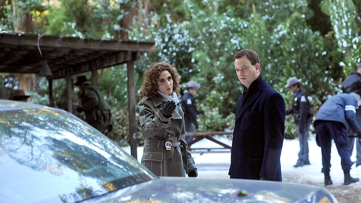 csi: ny