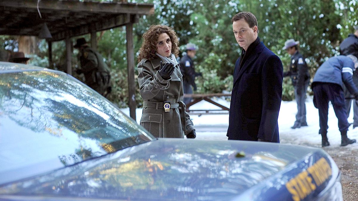 csi: ny