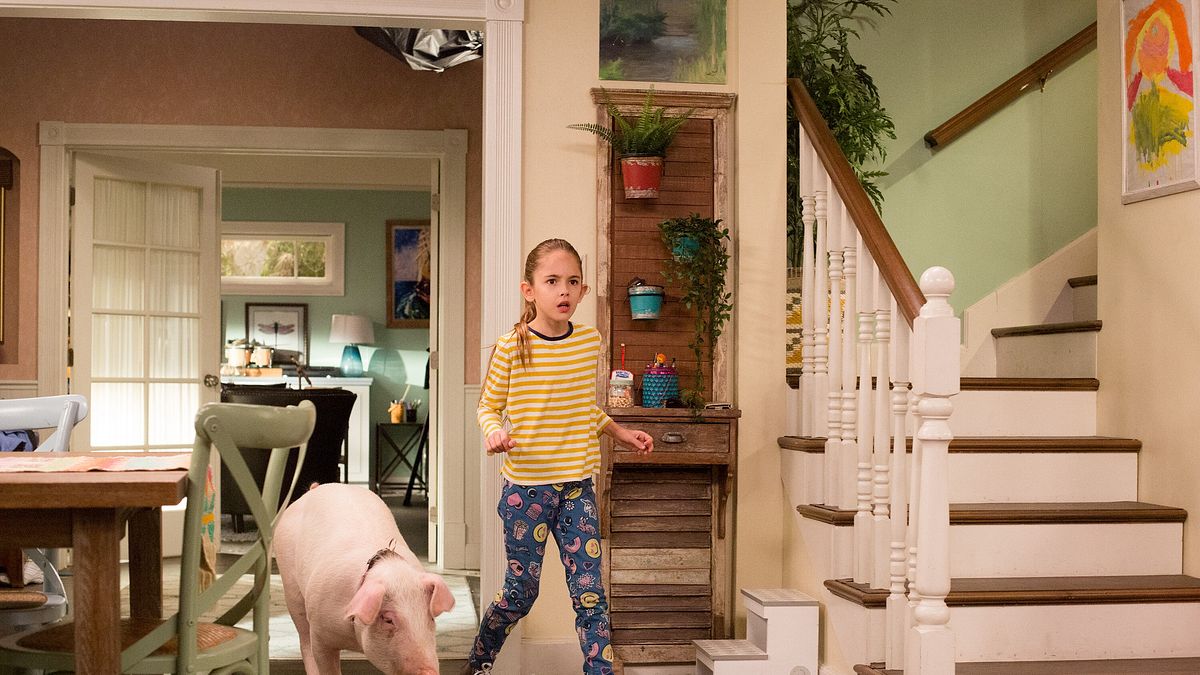 american housewife