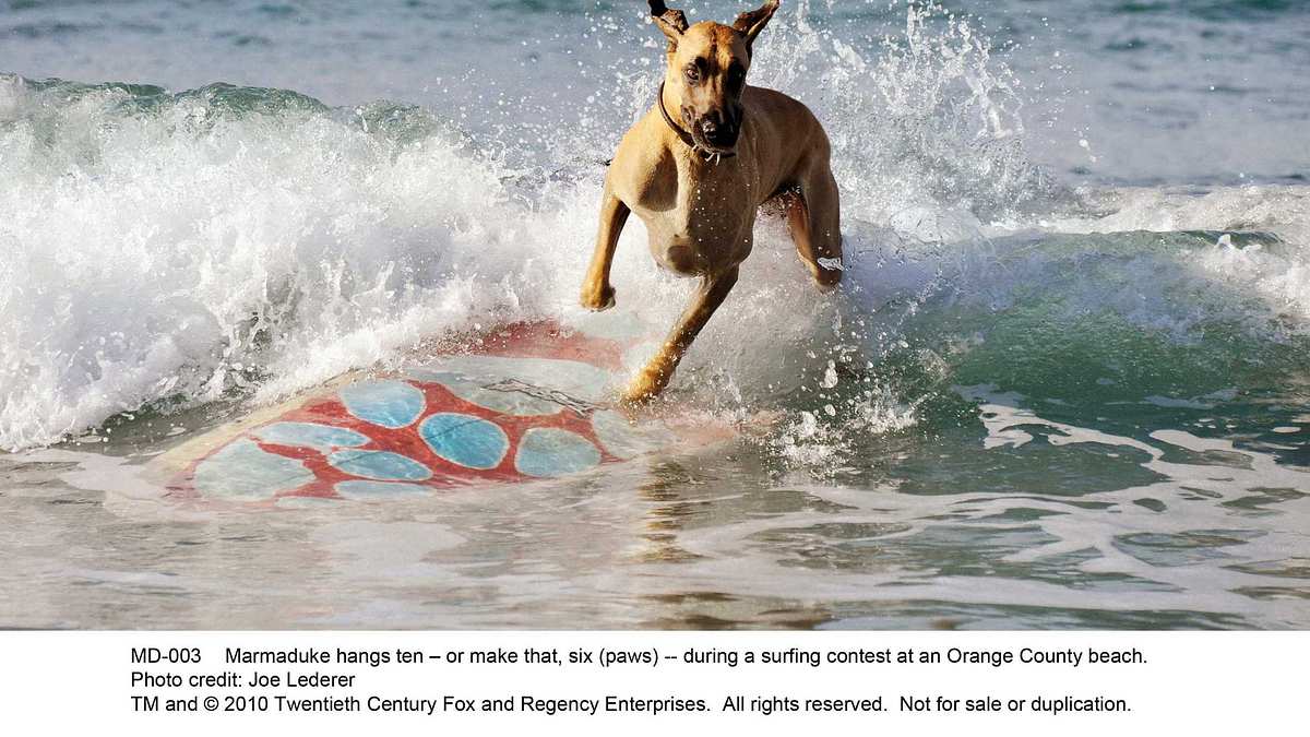 marmaduke