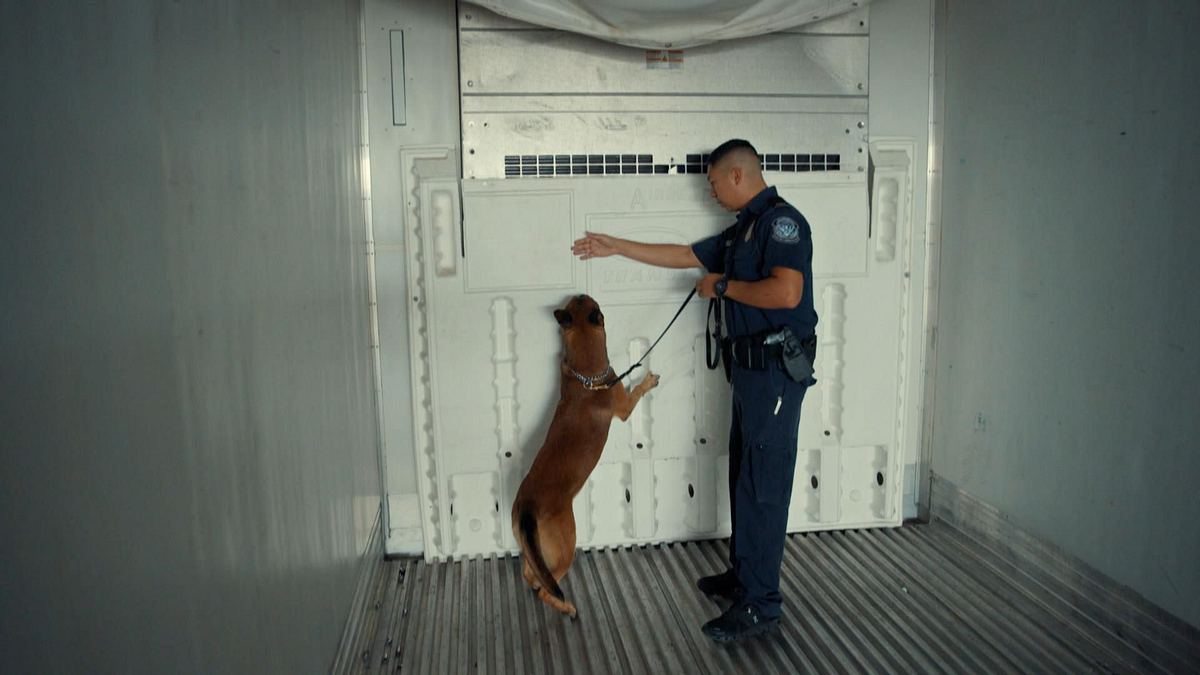border patrol usa - einsatz an mexikos grenze