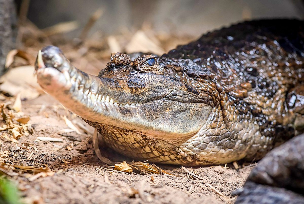 Zoo und so - Tierisch wild! zoo und so - tierisch wild!