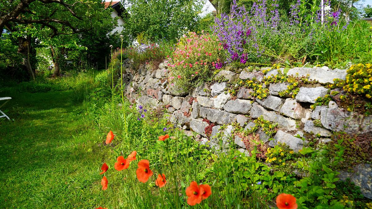 natur im garten