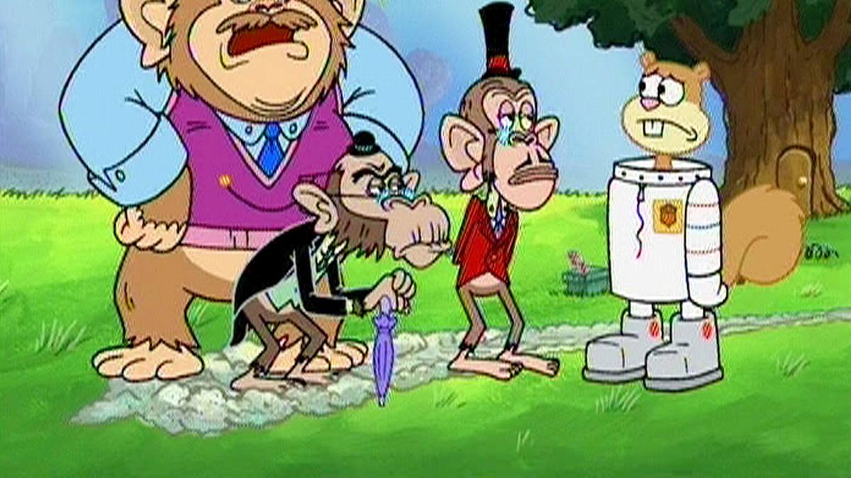spongebob schwammkopf