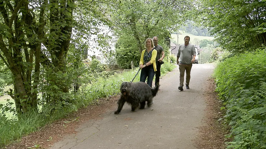 der hundeprofi