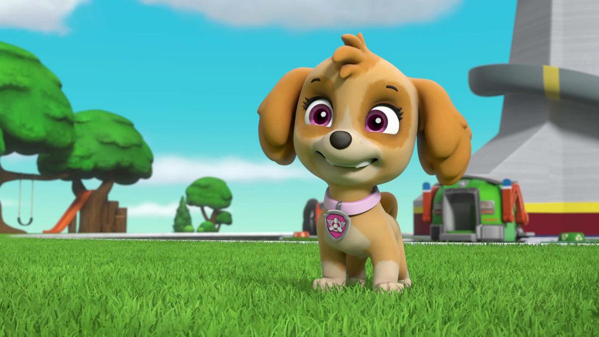 Paw Patrol - Helfer auf vier Pfoten paw patrol - helfer auf vier pfoten