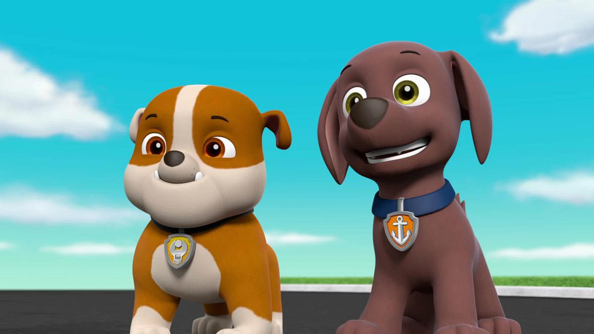 paw patrol - helfer auf vier pfoten