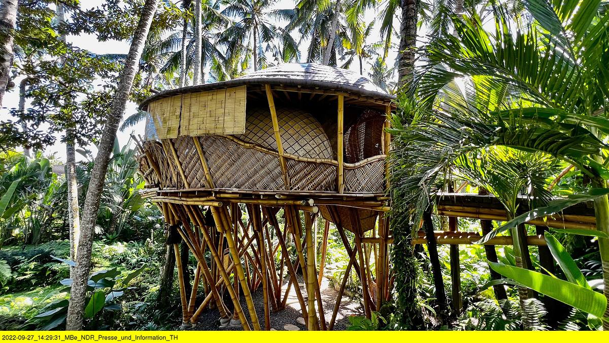 im herzen balis - tempel, tropen, traditionen