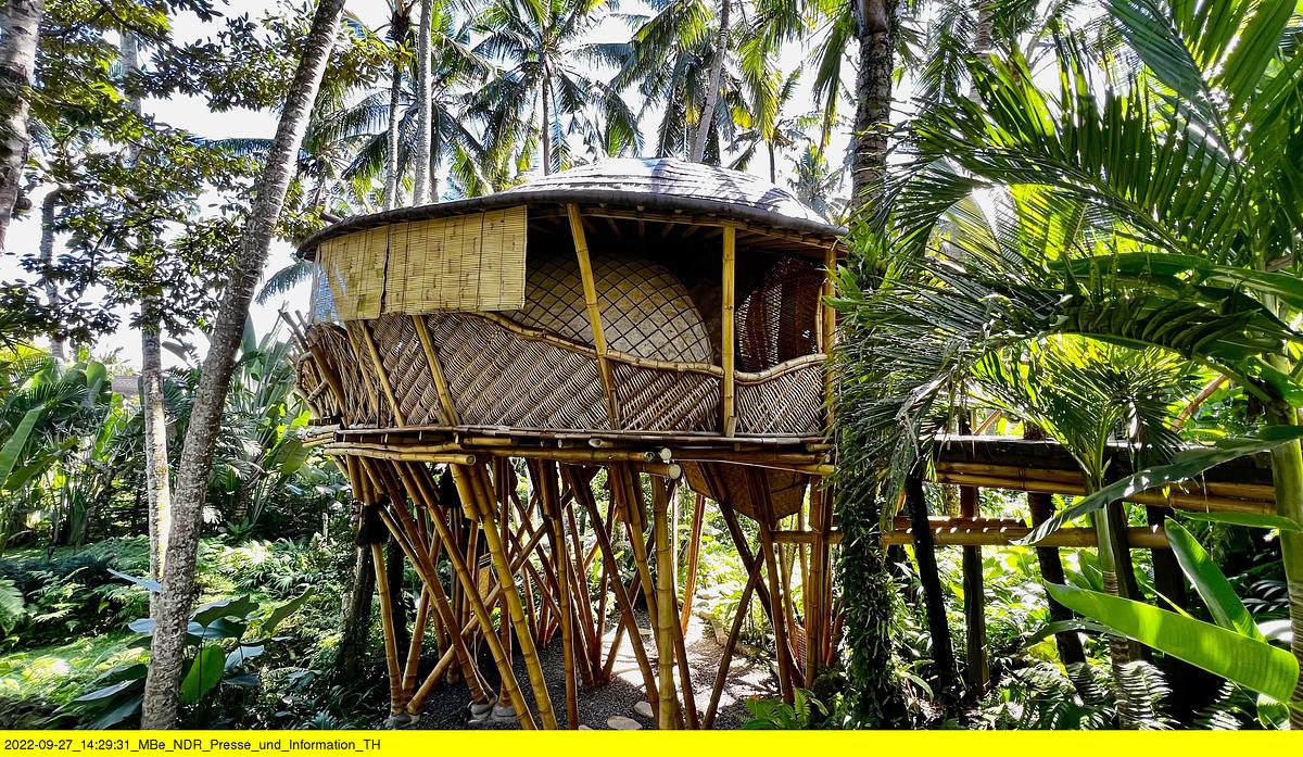 im herzen balis - tempel, tropen, traditionen