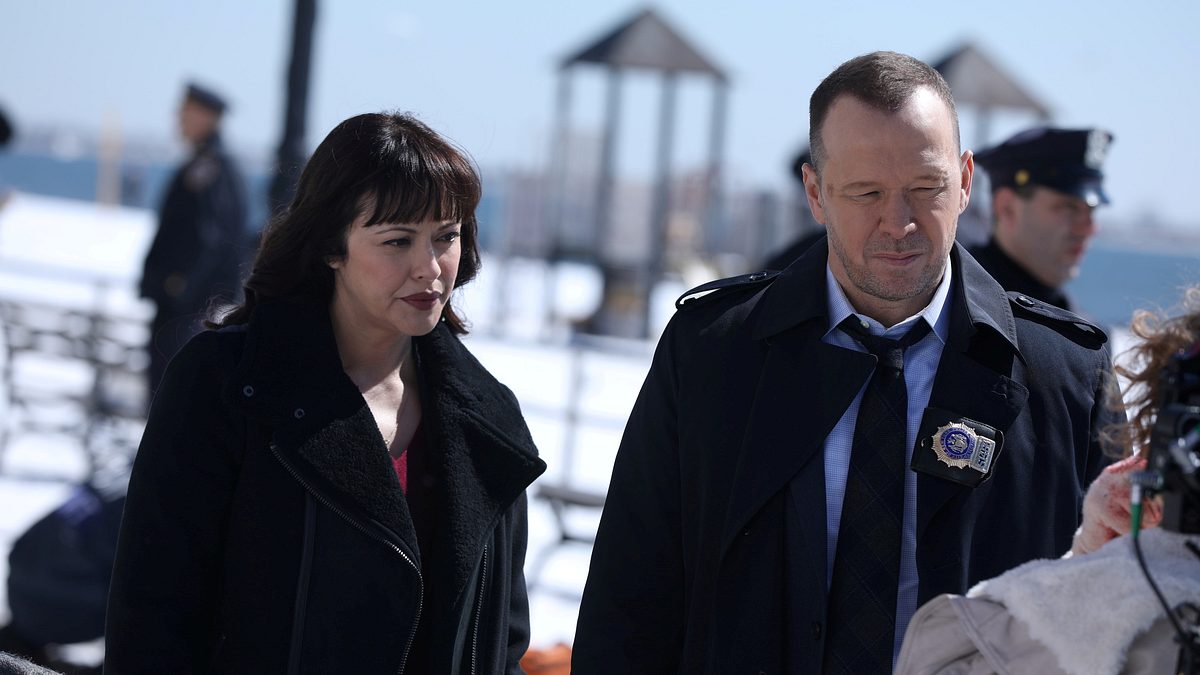 blue bloods - crime scene new york
