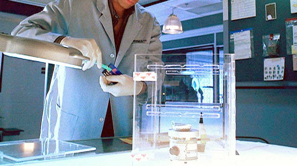csi: den tätern auf der spur