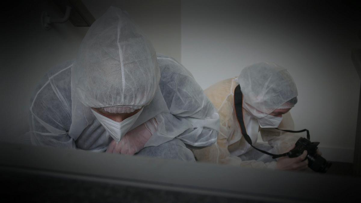 expert witness - forensiker auf spurensuche
