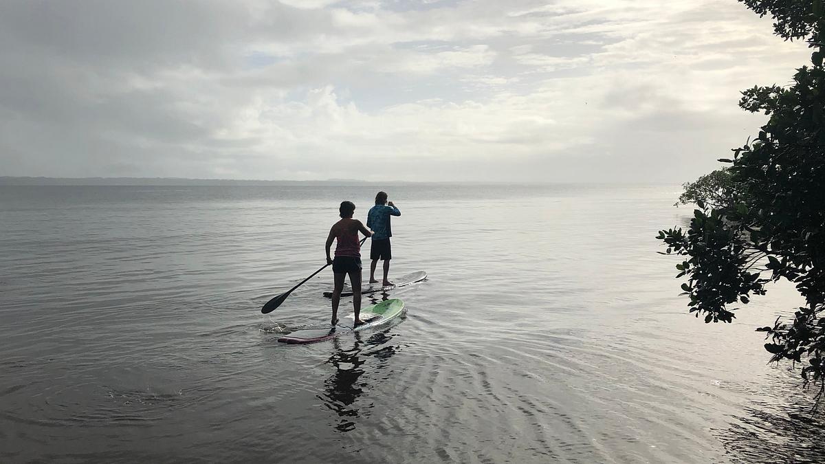 caribbean life - haus im paradies gesucht