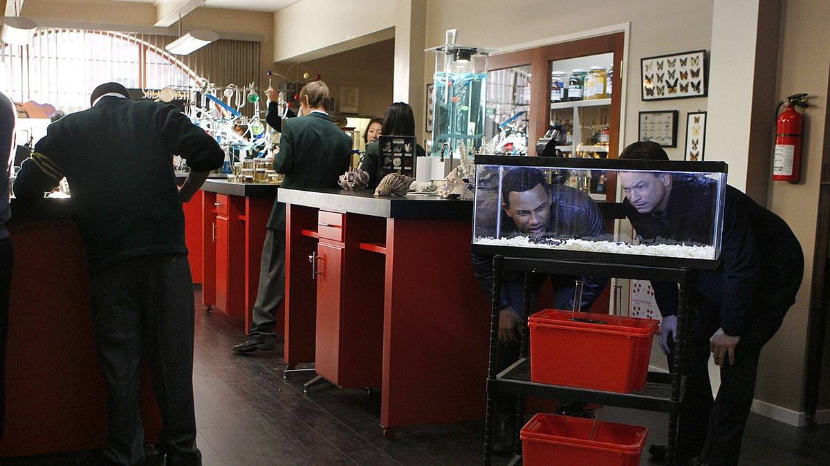 csi: ny