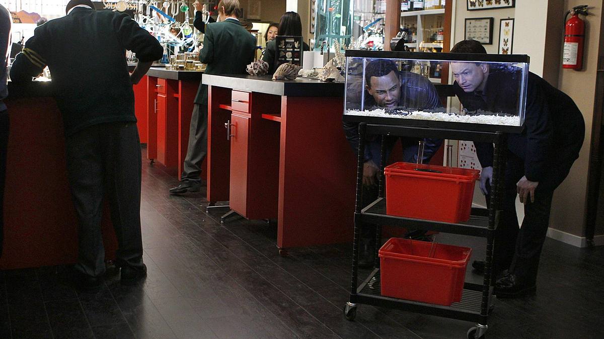 csi: ny