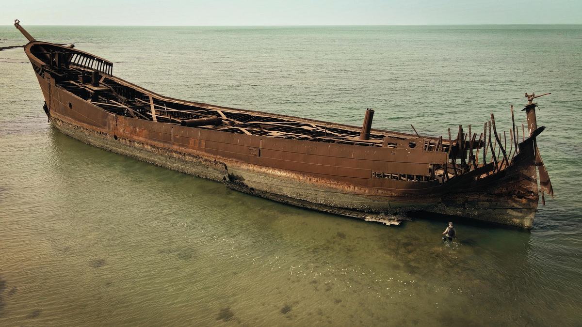 giganten unter wasser - riesenfischen auf der spur