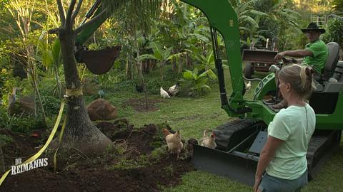 Die Reimanns | Familiendrama auf Hawaii: Plötzlich zicken sie sich an! - Foto: RTLzwei