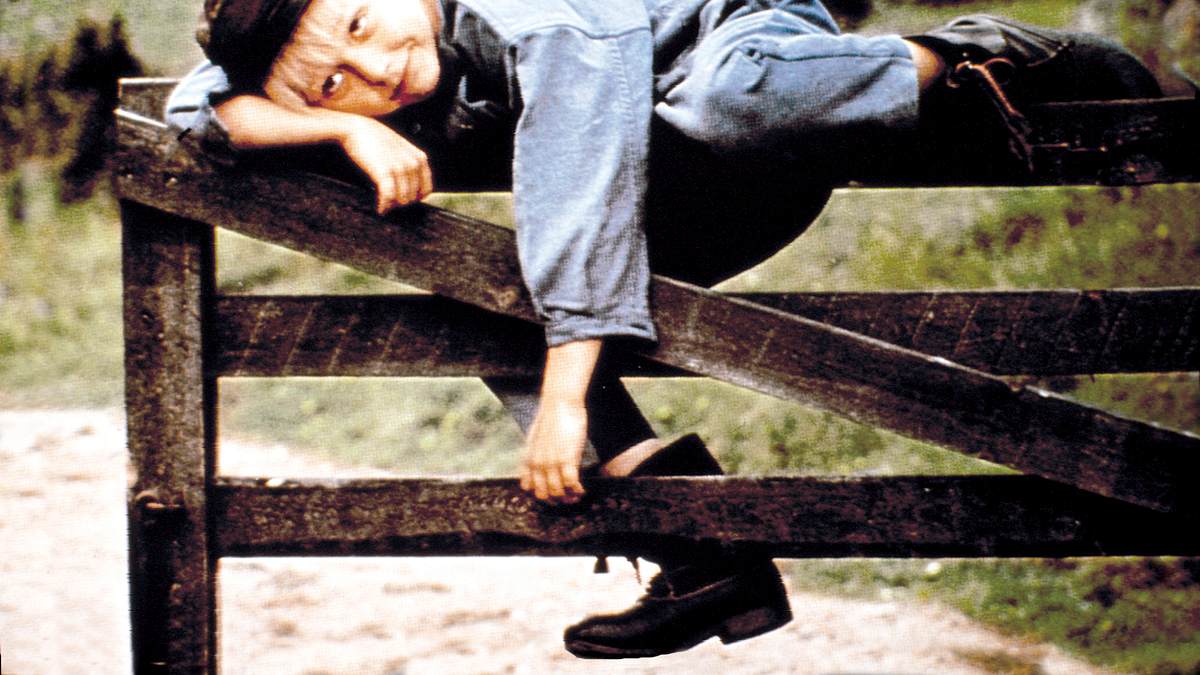 michel bringt die welt in ordnung