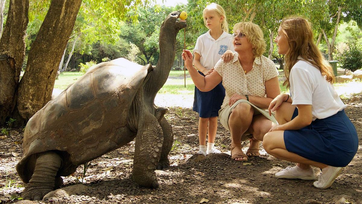 das kindermädchen: mission mauritius