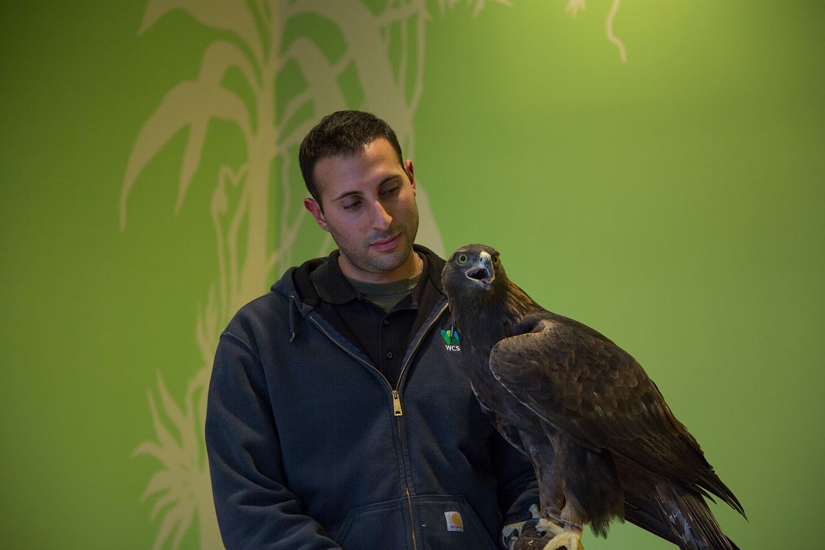 Bronx Zoo - Tierpark der Superlative bronx zoo - tierpark der superlative