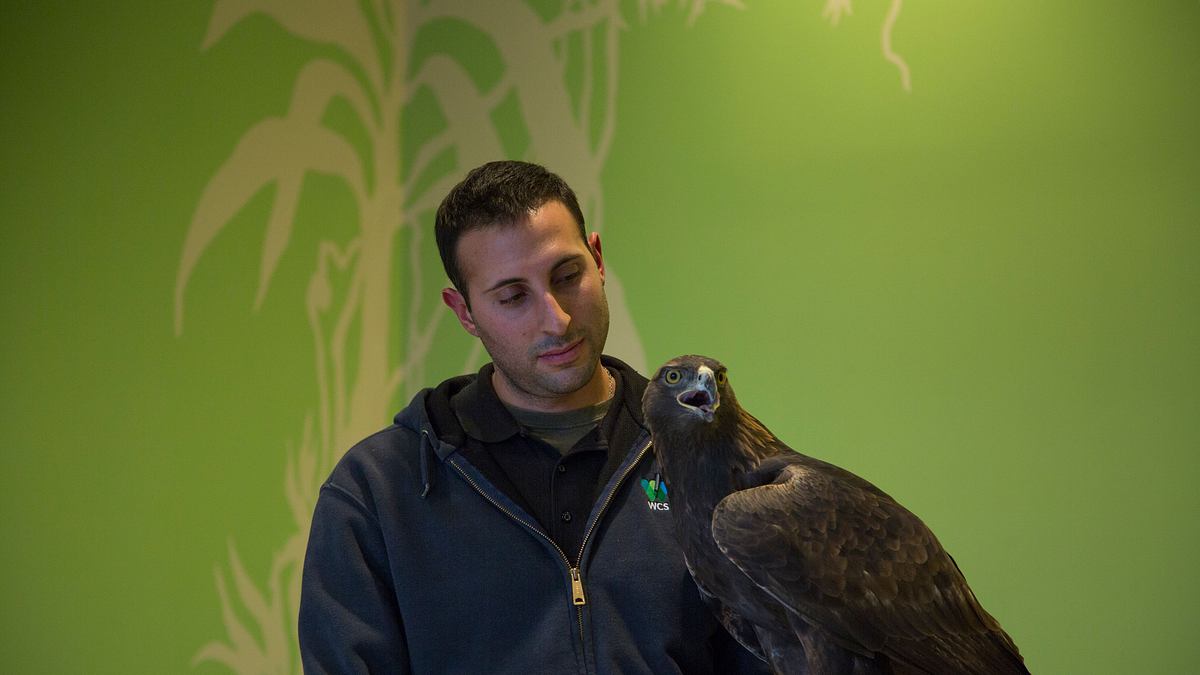 bronx zoo - tierpark der superlative