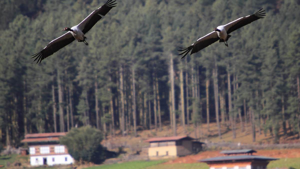 abenteuer wildnis