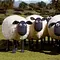 Shaun das Schaf Thumbnail