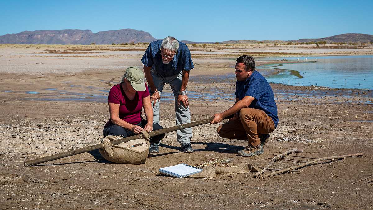 das rätsel von white sands: auf den spuren der ersten nordamerikaner