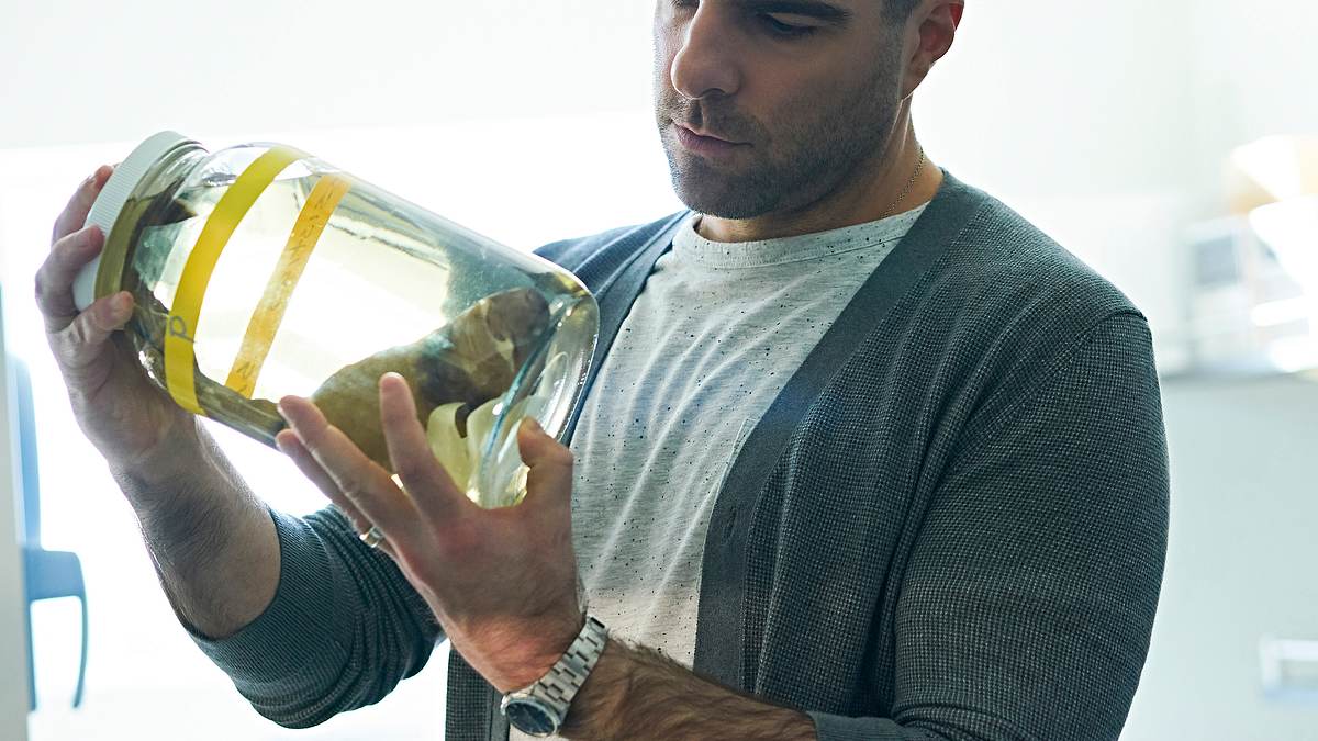 einfach rätselhaft - mit zachary quinto