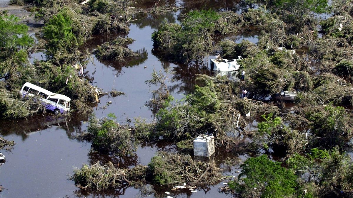 tsunami: wettlauf gegen die zeit