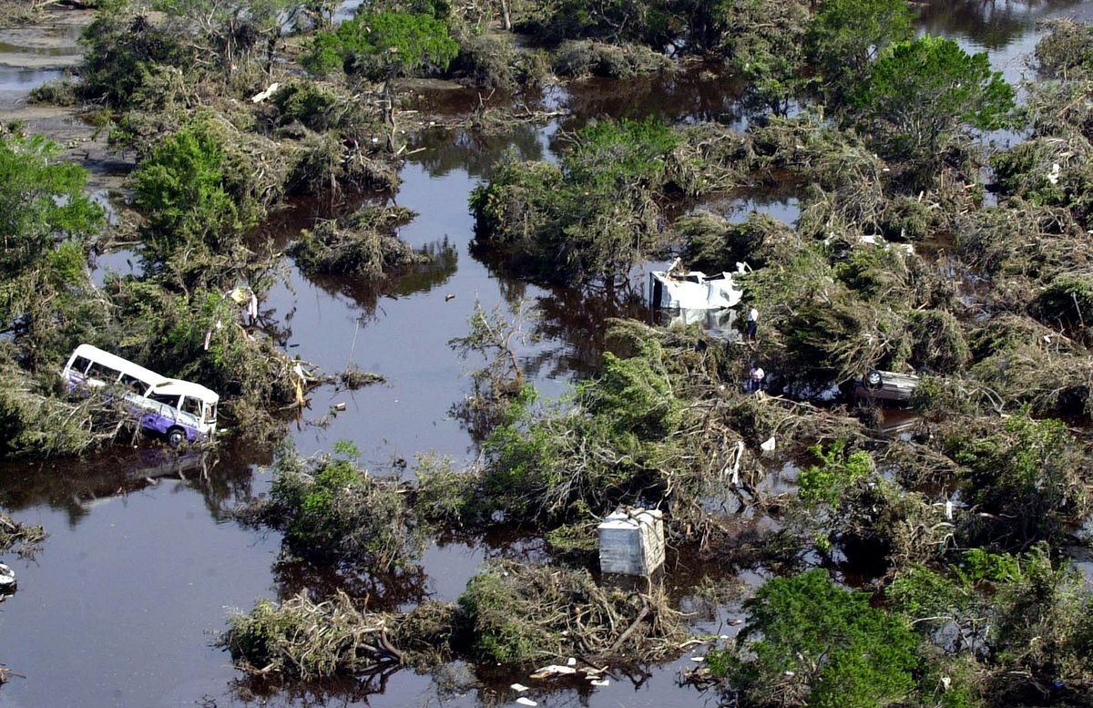 Tsunami: Wettlauf gegen die Zeit tsunami: wettlauf gegen die zeit