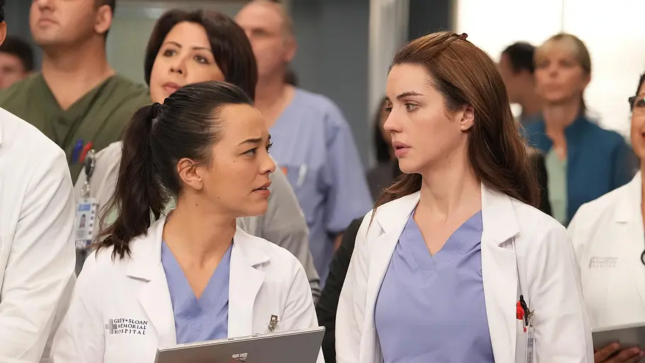 greys anatomy - die jungen ärzte