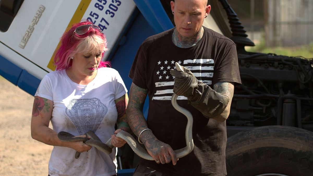 snakes in the city