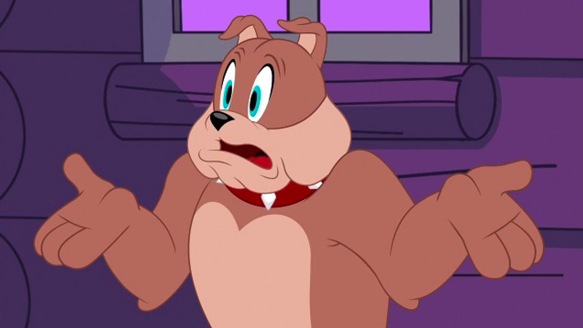 die tom und jerry show
