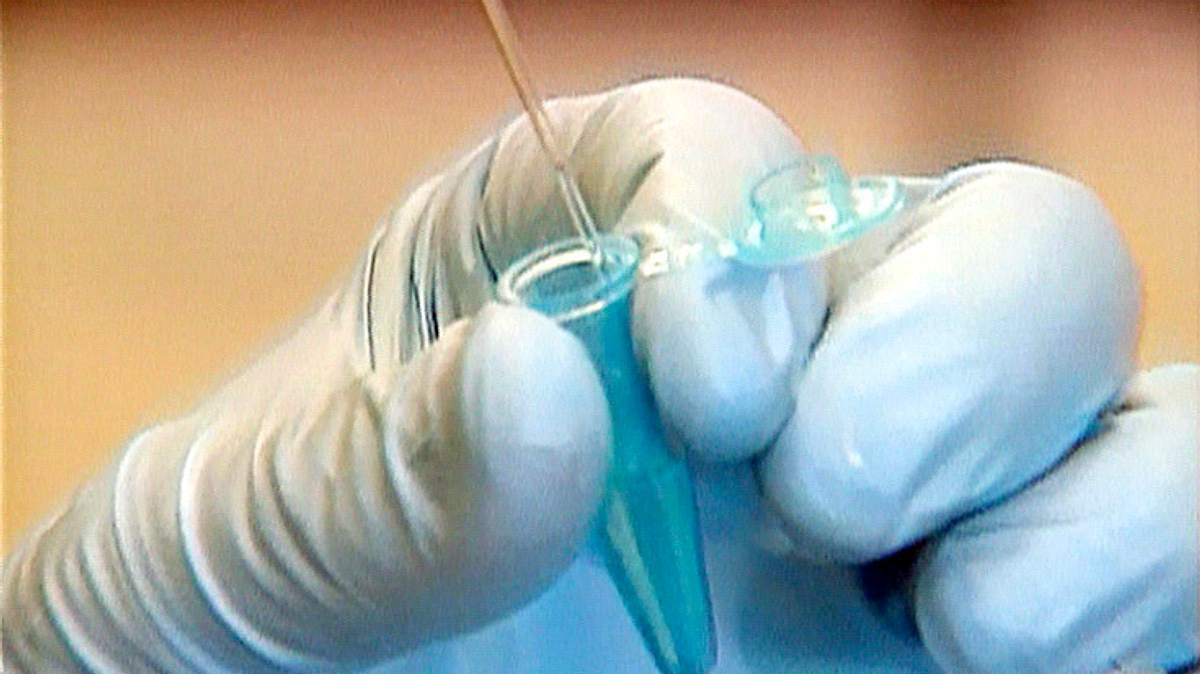 medical detectives - geheimnisse der gerichtsmedizin