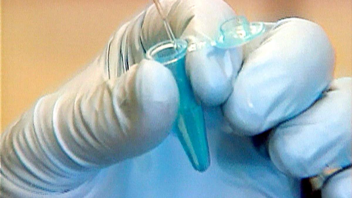 medical detectives - geheimnisse der gerichtsmedizin
