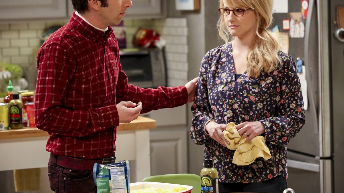 the big bang theory