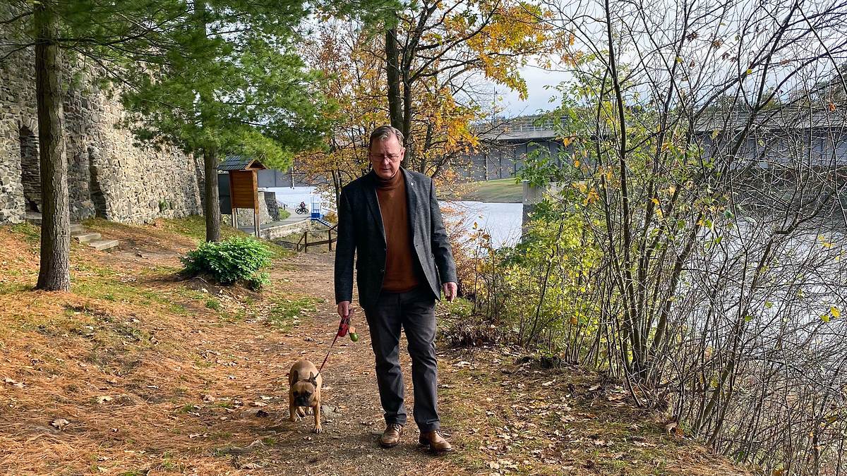 die hunde der mächtigen - und eine katze