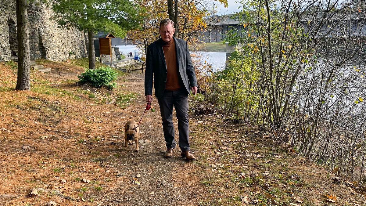 die hunde der mächtigen - und eine katze