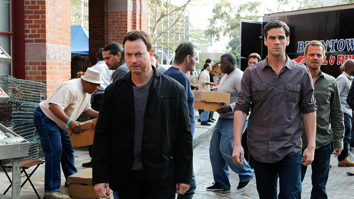 csi: ny