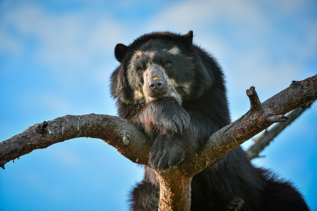 Zoo und so - Tierisch wild! zoo und so - tierisch wild!