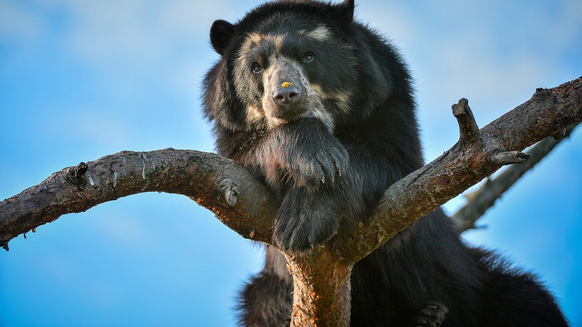 zoo und so - tierisch wild!