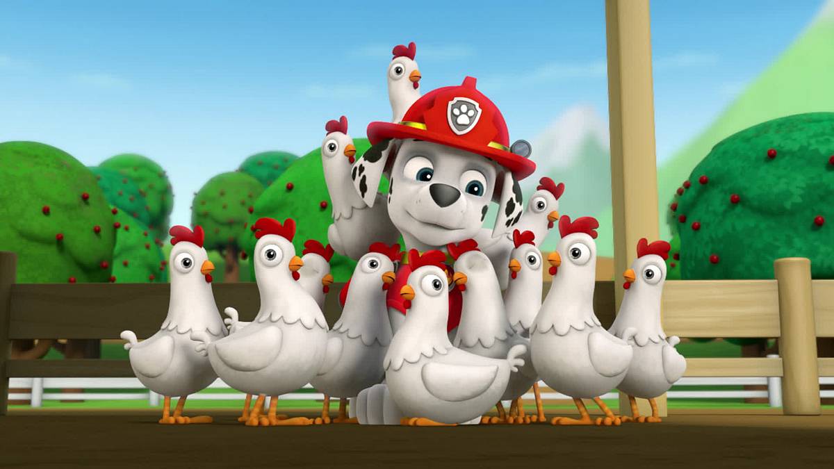 paw patrol - helfer auf vier pfoten